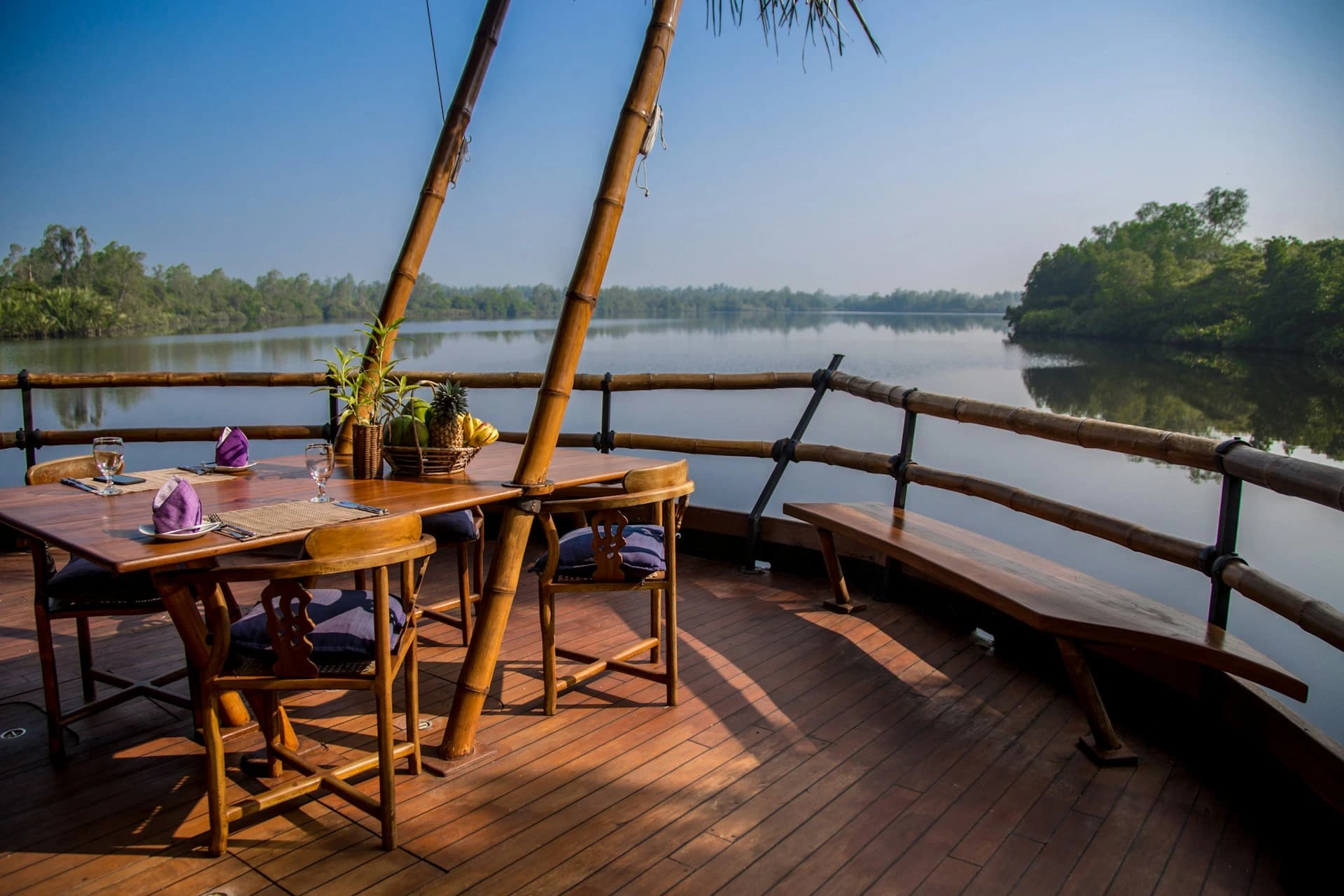 Boat gliding through mangrove tunnels on the Madu River, Bentota, Sri Lanka