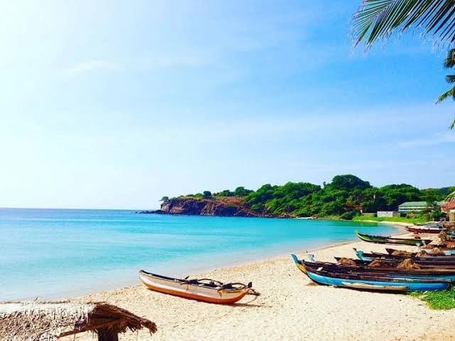 Palm-lined beach and calm sea at Kalutara, Sri Lanka