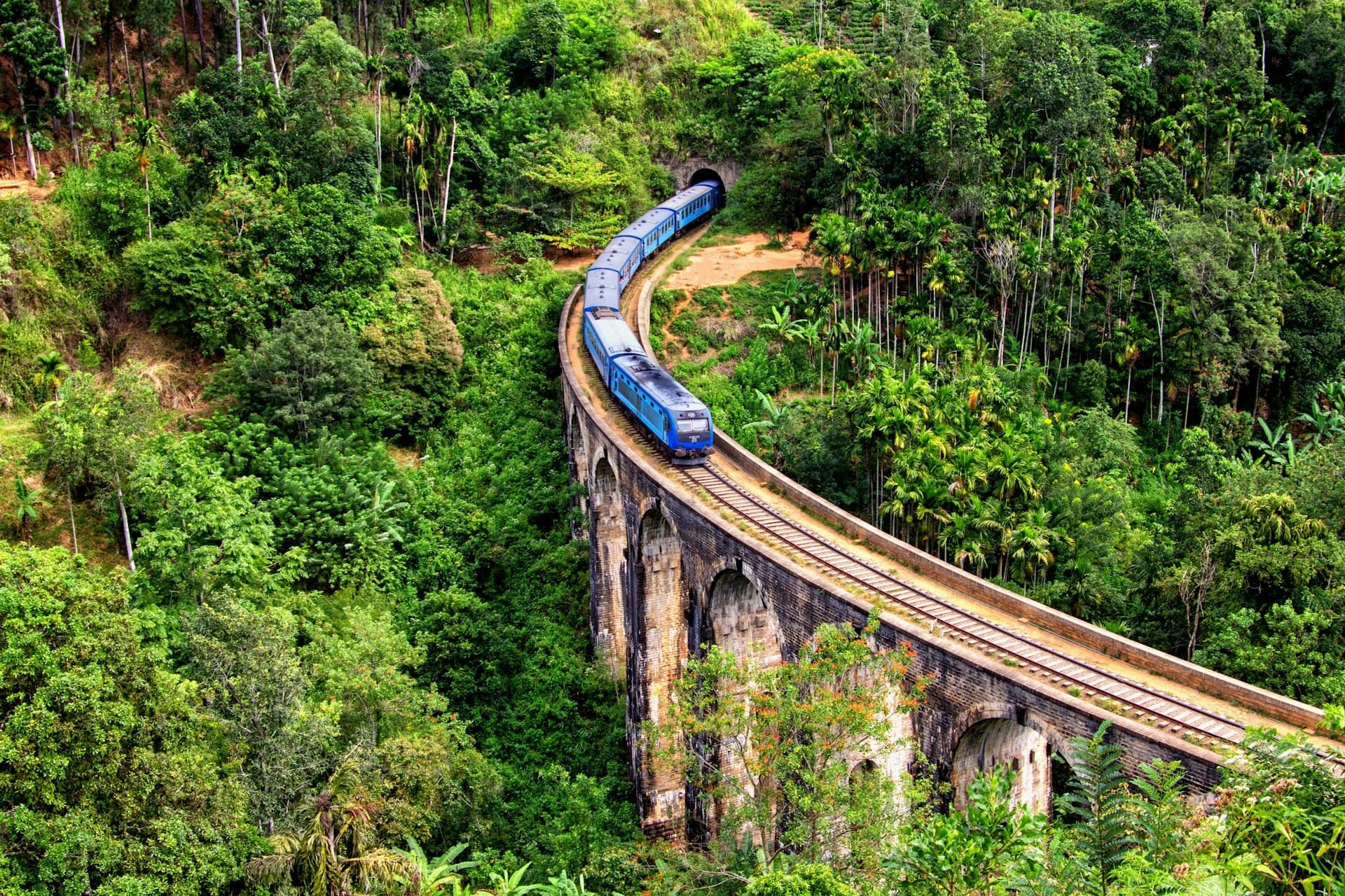 Nine Arch Bridge surrounded by jungle and tea plants near Ella, Sri Lanka