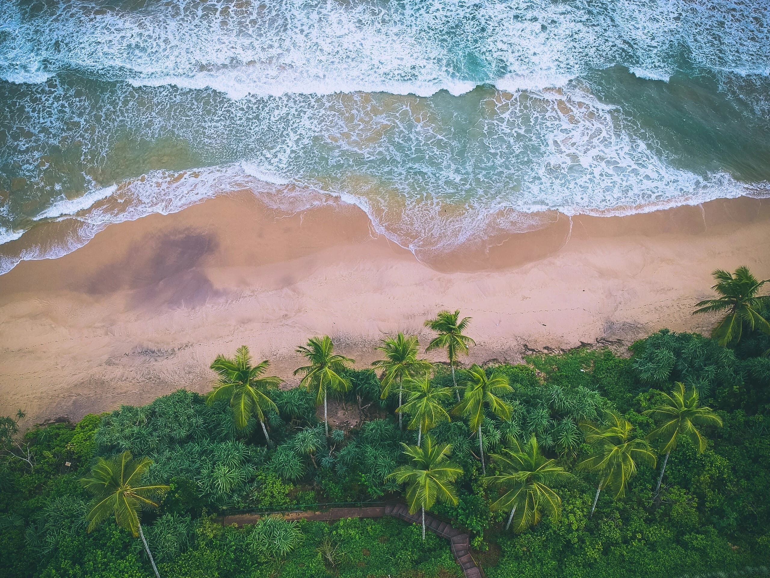 Palm-fringed golden beach on the south coast of Sri Lanka at sunset