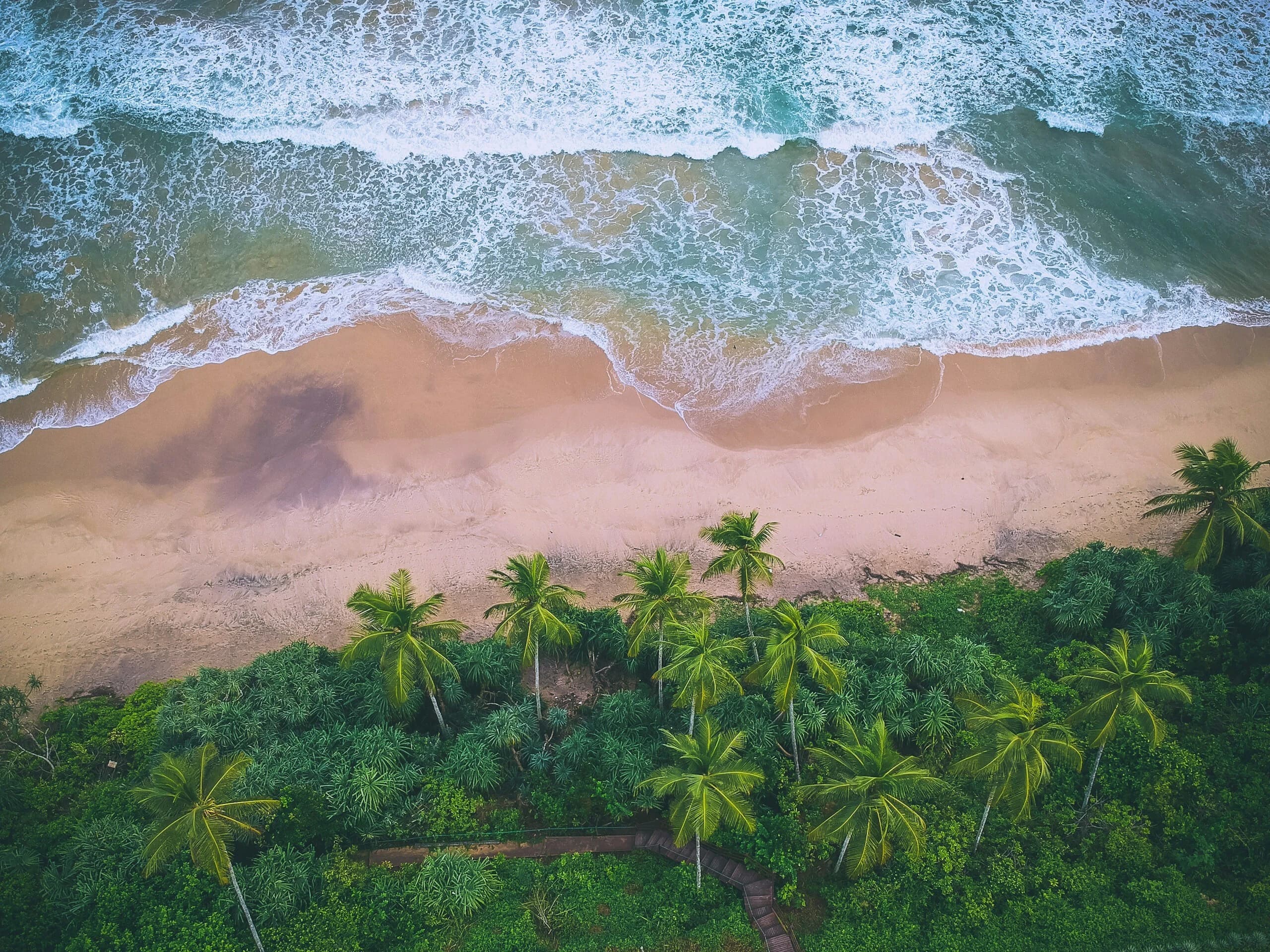 Palm-fringed golden beach with turquoise water on Sri Lanka's south coast