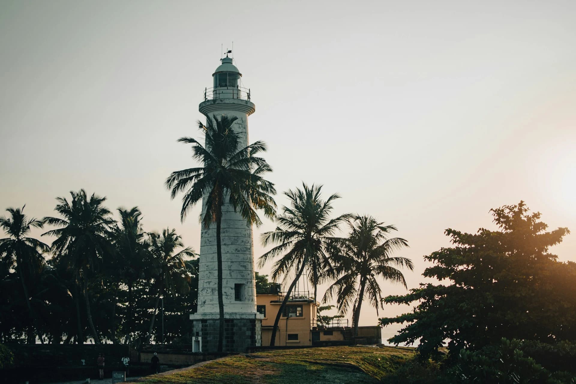 Galle lighthouse framed by coconut palms